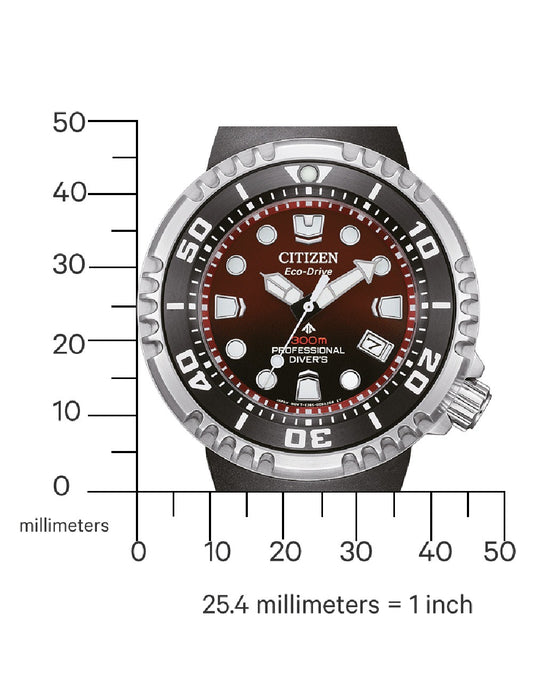 CITIZEN Mod. BN1024-01Z-1