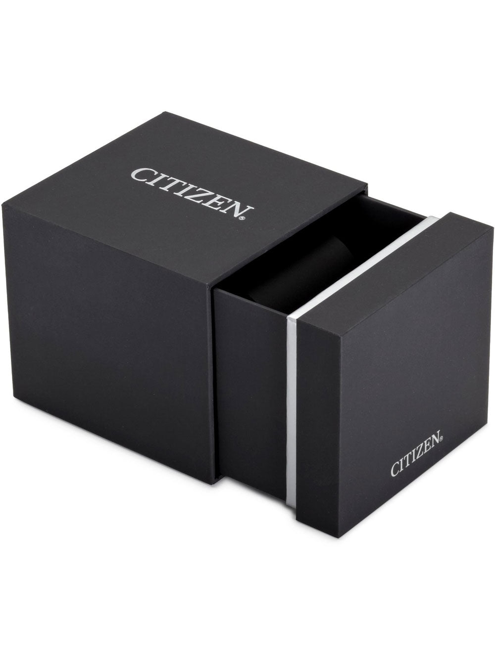 CITIZEN Mod. CA0695-84E-6