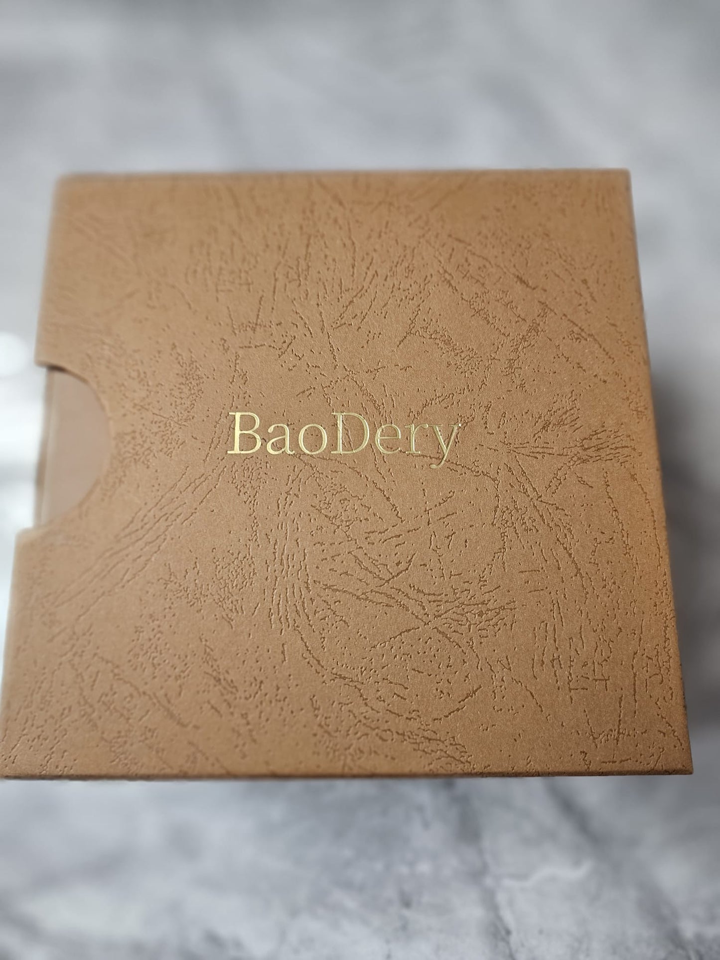 BaoDery BD1791121 Ocean Edition Black Dial Two Tone Steel Strap Watch for Men