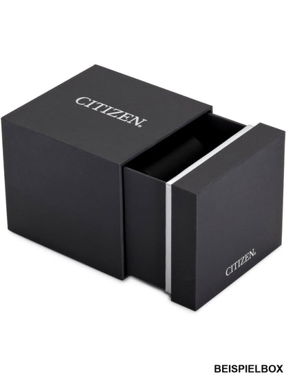 CITIZEN Mod. BM7108-81L-5
